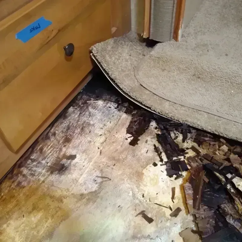 Wood Floor Water Damage in Cape May, NJ